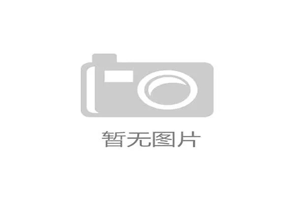 伊布拉希莫维奇的早餐账单把我三个月工资当零花钱，默默下拉不看